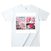 モノクロ