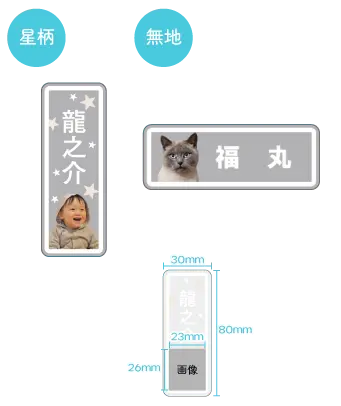 スティック型詳細