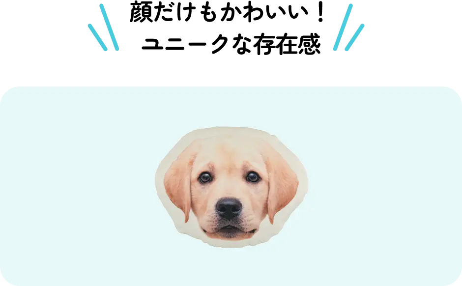 顔だけもかわいい！ユニークな存在感