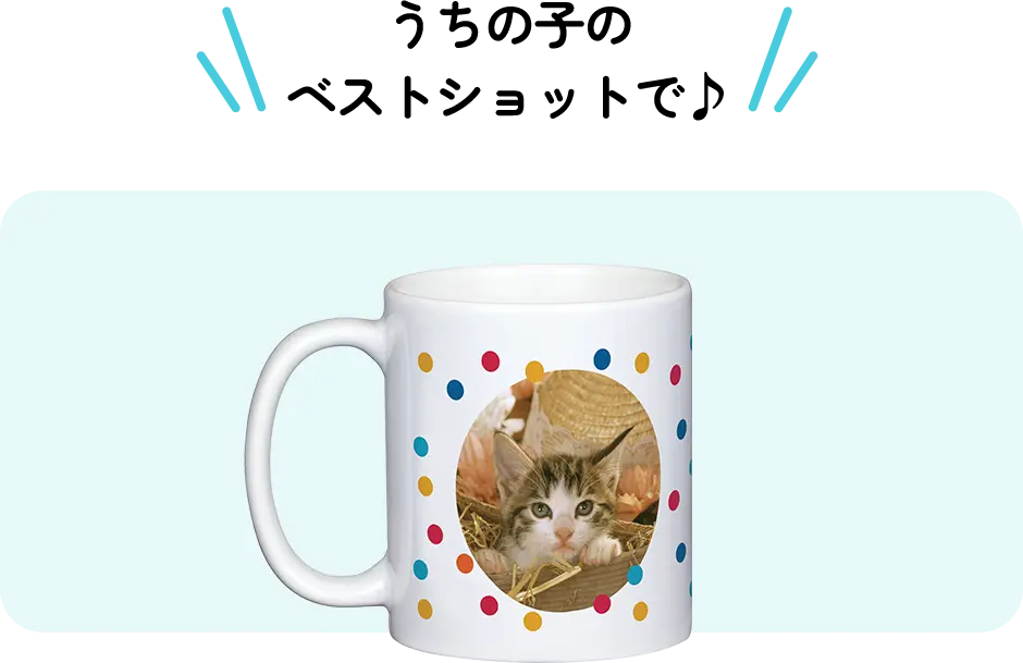 うちの子のベストショットで♪
