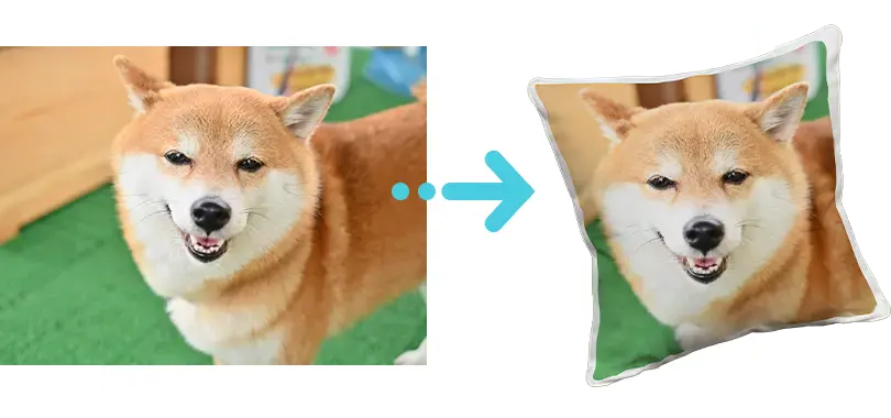 CUSHION!