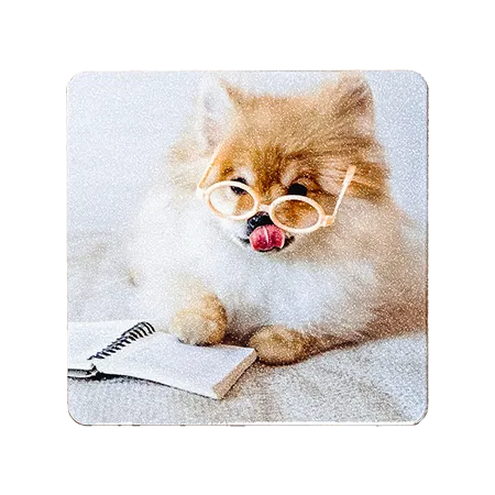 フォトマグネット