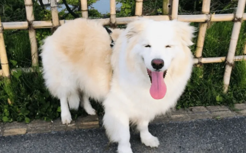 ハピネスフォトコンテスト
